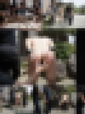 【野外露出】ド変態オンナと野外露出を楽しむ‼　サンプル画像1