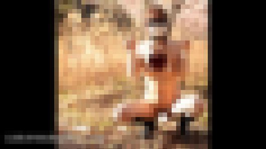 野外露出でSMドM教育261-11 サンプル画像