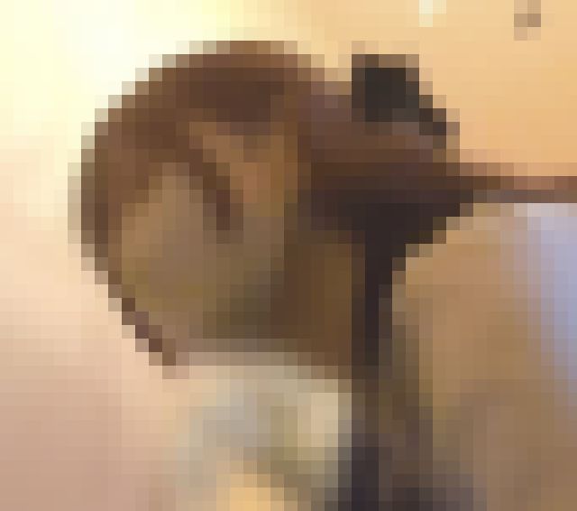 美女達の洗面所レポート アイドル級超美●女の股間を前後から高画質カメラで急襲 全5名 サンプル画像