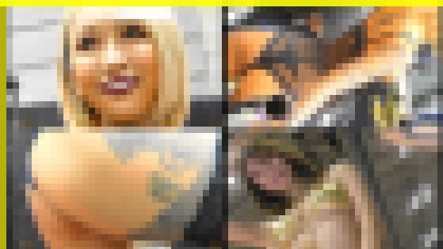 6342／「偽装撮り・キャンちゃん私押靏コレクション（114）～肉感篇」 サンプル画像