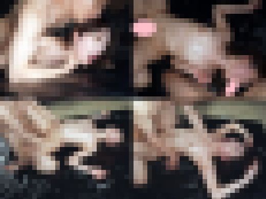 主張の激しいデカ淫尻の人生勝ち組メスの澄ました顔にザーメンぶっかけ！はしたないエロ尻を引っ叩き真っ赤になったケツを振り乱しアヘイ　サンプル画像3