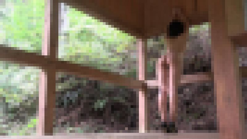 野外記念ヌード　山の小屋で全裸になって立ちバック サンプル画像