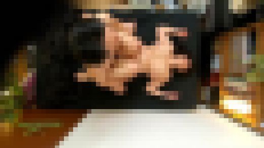 性欲のピークを迎えた熟女たちの本気セックス！File.2　サンプル画像3