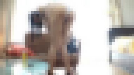 スレンダー体型の20歳フリーターが初ハメ撮りで何度も絶頂して体を痙攣させる　サンプル画像1