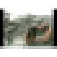 奴●学園　３　鞭・蝋燭・御仕置き責め サンプル画像