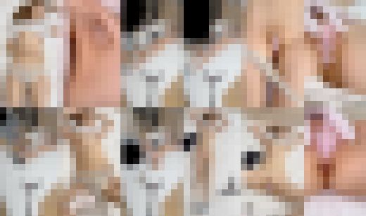 【期間限定4月3日（金）まで】マッサージ 身体観察 前編3名分セット　サンプル画像3