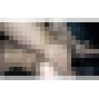 ムラムラ嫁の性欲が凄い 474 サンプル画像