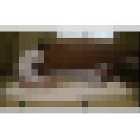 【S-EYE】地方旅館のマッサージ師と2人きり #010 SPYE-210-10 サンプル画像