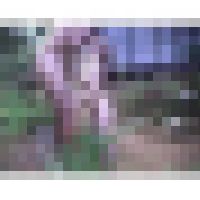 【ジャネス】公然猥褻温泉旅館 #004 DFTA-053-04 サンプル画像
