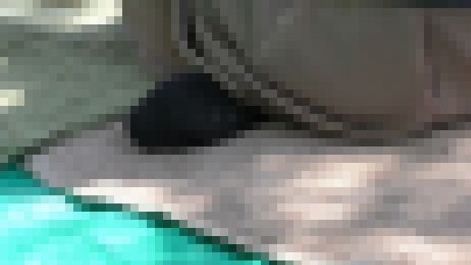 【ハプニングあり】お花見中に蜂が接近…思わず出た素の声と黒ソックスのリアルな足元 サンプル画像1