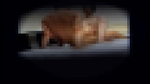 不倫 濃厚セックス隠し撮り!File.2 サンプル画像2