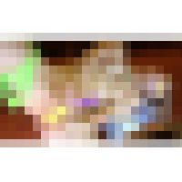 [地下撮影会マル秘映像シリーズ36-1]見せたがり美女大集合の超地下撮影会の秘密映像 内容画像