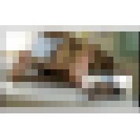 【S-EYE】女性が輝くSEX治療院 #005 SPYE-213-05 サンプル画像