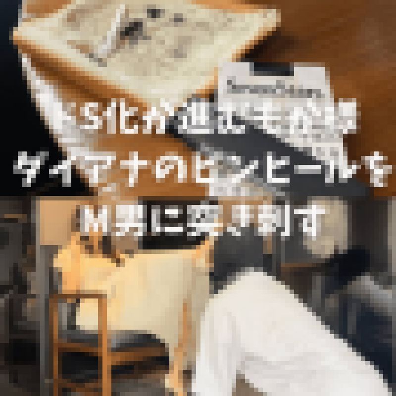 ドS化が進むもか様、ダイアナのピンヒールをM男に突き刺す 内容画像