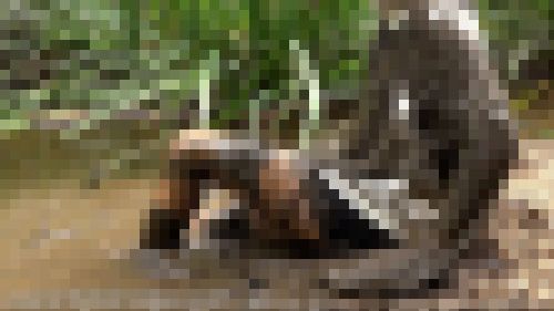 ウエット＆メッシー 新品の服を着衣で泥沼に入って汚すフェチ動画f921 サンプル画像