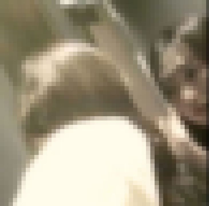 美女達の洗面所レポート 顔面偏差値測定不能！特級美女が便器の陰から見せたワレメ ほか全7名 サンプル画像