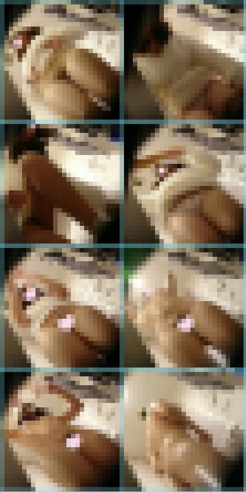 (再販)【隠○撮り】橋○環奈似の最強美○女なりたてJD♥ガーリー美○女JD♥剛毛二人のローアングル脱衣&　サンプル画像1