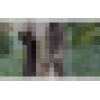 エロM女の野外露出　見られて性的興奮するマゾ女 サンプル画像