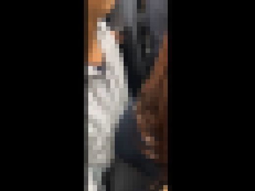 日本の車窓から【本日の混み具合】EP５８　サンプル画像1