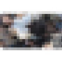 超高画質FHD動画 まさしく承認欲求モンスター！自己顕示欲を満たすために露出衣装で自分の身体を男達に撮られる娘達NO-1 超接近 サンプル画像