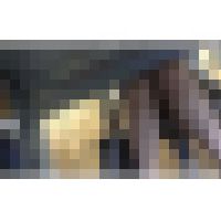 社外秘　机の下の楽園　Vol.3 サンプル画像