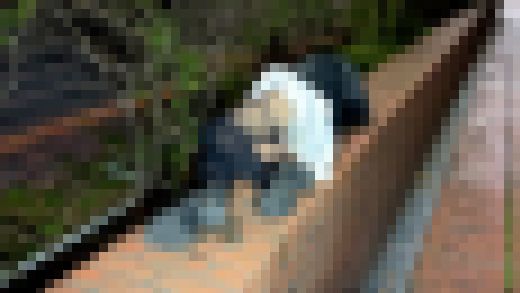 忘年会で油断 清楚系OLを軽バン荷台介抱 真面目なブラウスの内側と横たわる純白下着　サンプル画像3