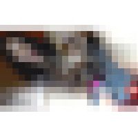 コスプレ見学クラブ潜入ルポその10元グルメレポーターのまん肉レポｗ顔と生乳とおま●この三点セットに哭き声も付いてお買い得ｗ サンプル画像