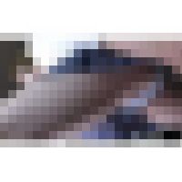 [会員制マル秘イベントお宝映像シリーズ21-2]妄想文化祭続編。パンチラからのおっぱいpororiで大コーフン サンプル画像