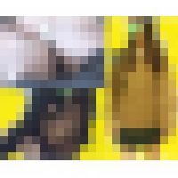 【再販セール3/4迄】清楚系J〇を電車でおさわり！トイレに連れ込み抵抗するJ〇にイラマ＆バックで生ハメ！最後は中出し！ サンプル画像