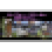 ローファー、スニーカーで花クラッシュ サンプル画像