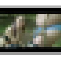 【甘美会】残虐！上司野外●教 #005 FKD-024-05 サンプル画像