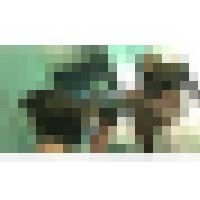 HDC Produce ドＳギャル美女　優里様のＭ男見下し灰皿寸止め サンプル画像