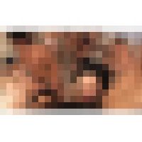 ママさんバレー大乱交！ 内容画像
