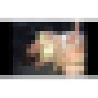女たちが嵌った性の罠！File.14 サンプル画像