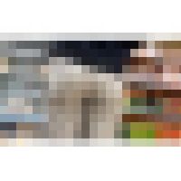 【４K・高画質】#39 ゆるふわグレーパンツOLさんのムニュる柔尻とスケスケPライン サンプル画像