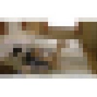 FF-Gallery157 サンプル画像