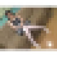 ＬＥＧＳ＋　Ⅷ　タイツ好き妹の可憐　早乙女ルイ　part 2 RGD-220-2 サンプル画像