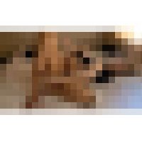 【金髪アパレルギャル】チンポで悲鳴をあげながら喘ぎまくり サンプル画像