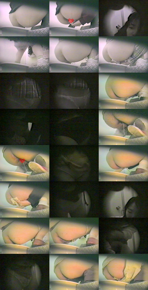 Vol.47 和式トイレ,便所リアル脱ぎ履きパンスト排泄,大小コミコミse　サンプル画像1