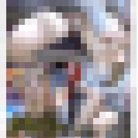 盗〇に気付いたギャル美●女の無防備大開脚パンチラ盗〇動画 サンプル画像