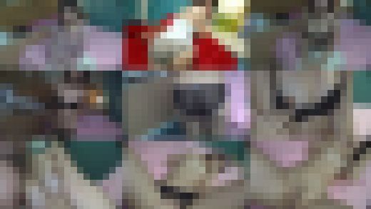 清楚系な顔してパパ活してるSEX大好き微乳女子大生とガチハメ　サンプル画像1