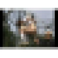 奴●教室　鞭・●・蝋　#01 サンプル画像