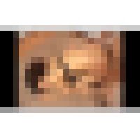 【実録出版】尻伝説 #094 ZCOL-006-13 サンプル画像