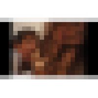 美人家庭教師の誘惑！File.2 サンプル画像