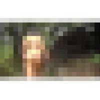 真夏の林をマイクロビキニで歩いたら… 内容画像