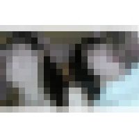 美脚美人OL2人とホテルで仲良く4PSEX、フェラ、口内発射、生挿入、中出しあり。 サンプル画像