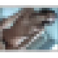 MILF IN READY TO EAT #064 EWMI-014-03 サンプル画像