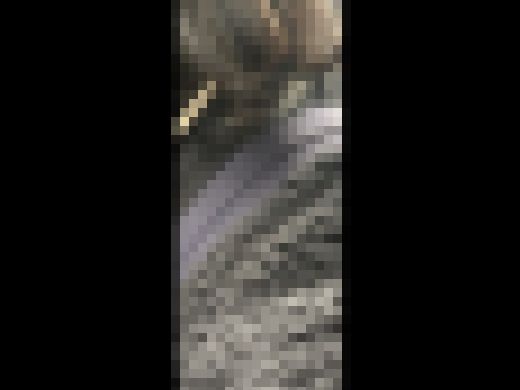 日本の車窓から【本日の混み具合】EP１６５　サンプル画像1