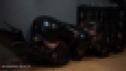 自ら望んで人間馬と化したエナメルフェチの女　サンプル画像2
