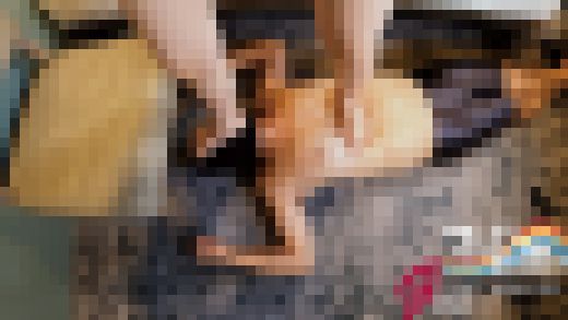 欲求不満主婦の栞「勃起して嬉しい♥」顔踏み玉潰し電気アンマ サンプル画像2